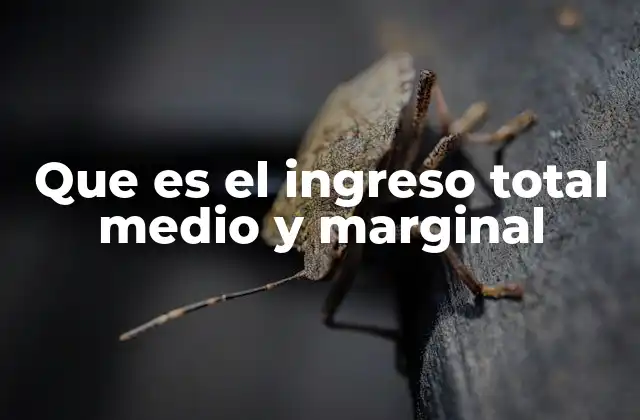 Que es el Ingreso Total Medio y Marginal