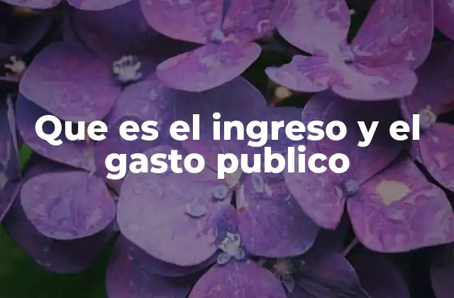 Que es el Ingreso y el Gasto Publico