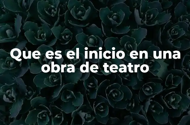 Que es el Inicio en una Obra de Teatro