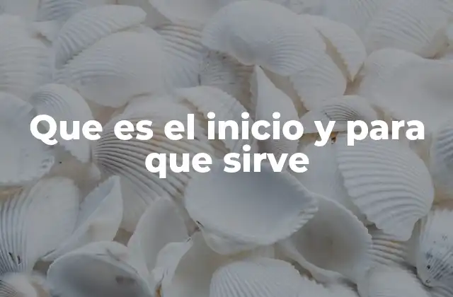 Que es el Inicio y para que Sirve