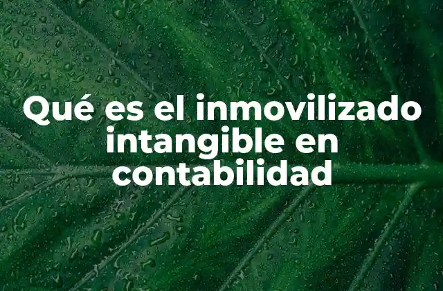 Qué es el Inmovilizado Intangible en Contabilidad