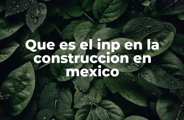 Que es el Inp en la Construccion en Mexico