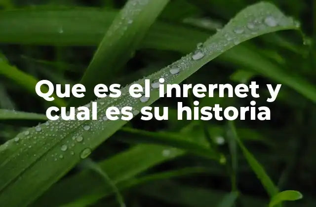Que es el Inrernet y Cual es Su Historia 2 La evolución de la red global de información