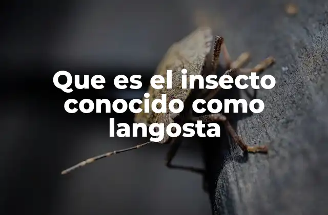 El mundo oculto de los insectos saltarines