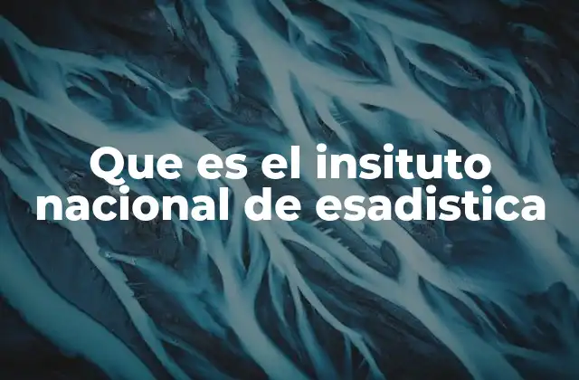Que es el Insituto Nacional de Esadistica
