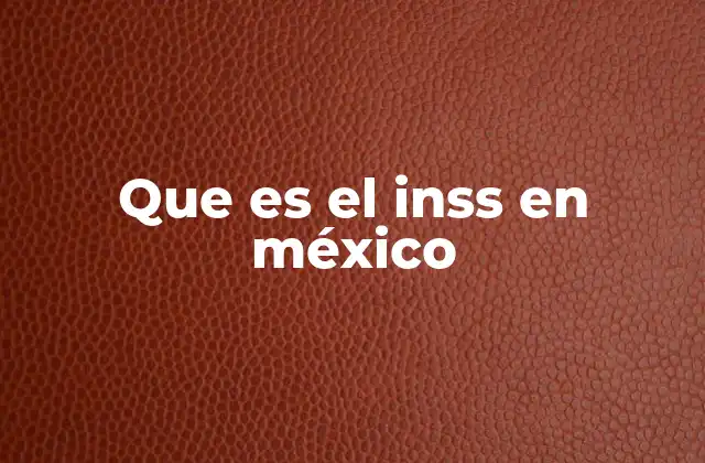 Que es el Inss en México