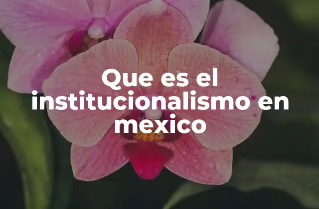Que es el Institucionalismo en Mexico