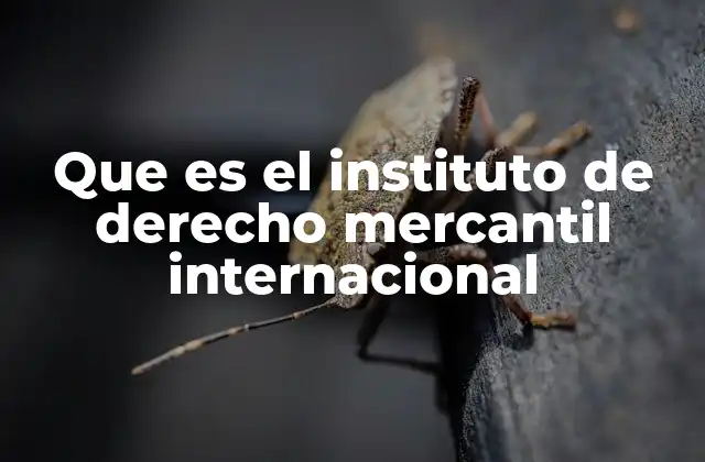 Que es el Instituto de Derecho Mercantil Internacional