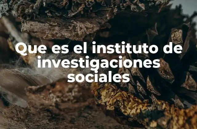 El papel del IIS en el desarrollo social y académico
