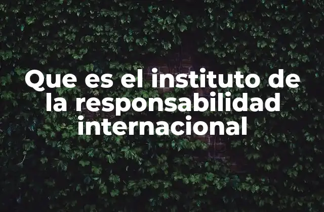 Que es el Instituto de la Responsabilidad Internacional