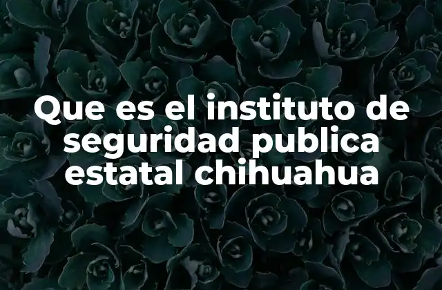 Que es el Instituto de Seguridad Publica Estatal Chihuahua