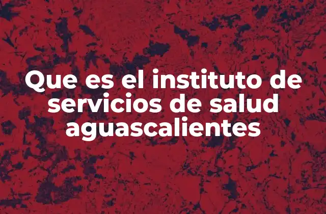 Que es el Instituto de Servicios de Salud Aguascalientes