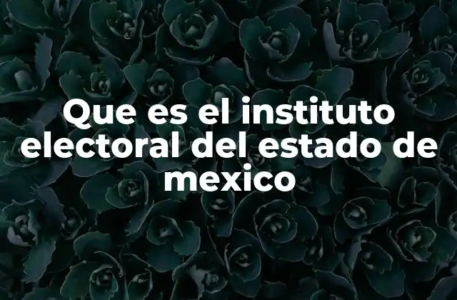 Que es el Instituto Electoral Del Estado de Mexico