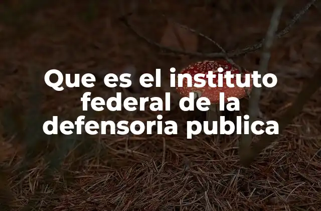 Que es el Instituto Federal de la Defensoria Publica