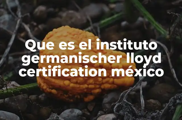 El papel del Germanischer Lloyd Certification en la industria mexicana