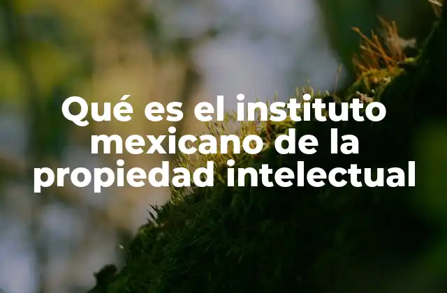 Qué es el Instituto Mexicano de la Propiedad Intelectual