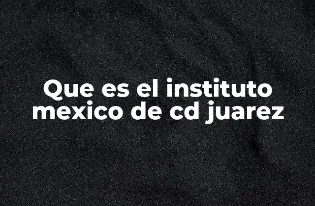 Que es el Instituto Mexico de Cd Juarez