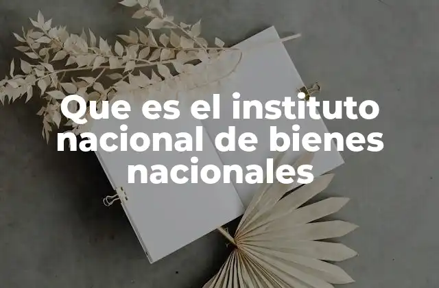 Que es el Instituto Nacional de Bienes Nacionales