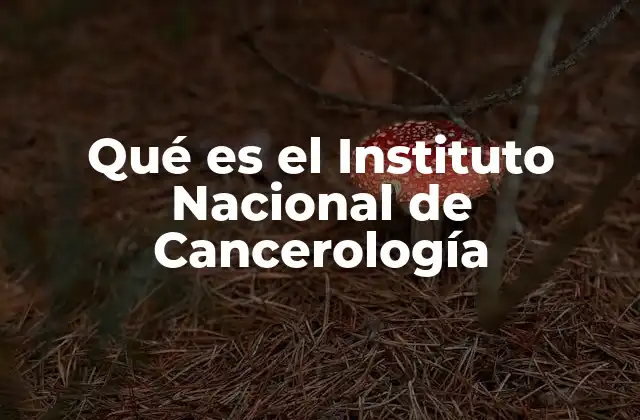 Qué es el Instituto Nacional de Cancerología 2 El papel del Instituto Nacional de Cancerología en la atención médica