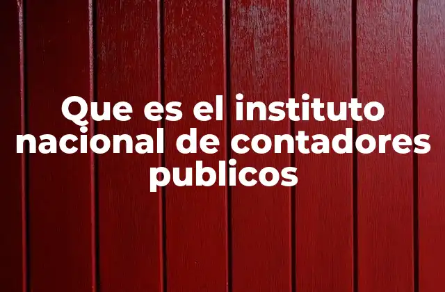 Que es el Instituto Nacional de Contadores Publicos