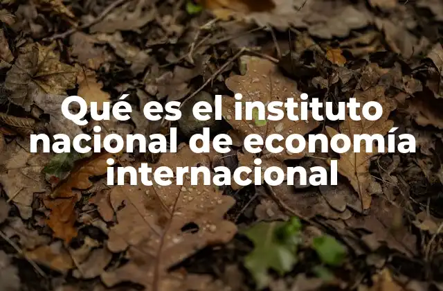 Qué es el Instituto Nacional de Economía Internacional