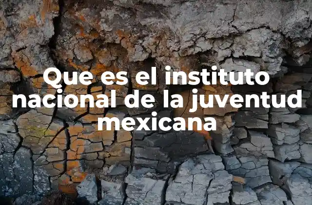 Que es el Instituto Nacional de la Juventud Mexicana