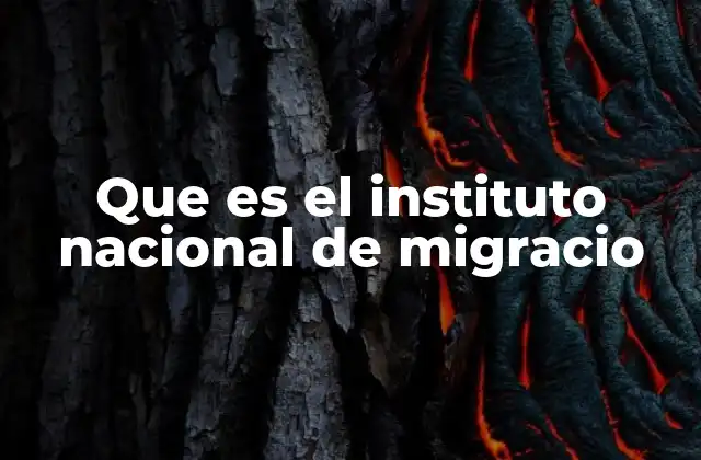 Que es el Instituto Nacional de Migracio