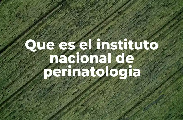 Que es el Instituto Nacional de Perinatologia 2 La importancia de contar con un centro especializado en salud perinatal