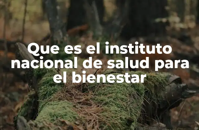 Que es el Instituto Nacional de Salud para el Bienestar