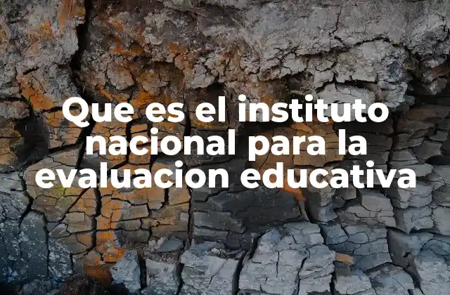 Que es el Instituto Nacional para la Evaluacion Educativa