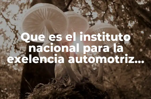 Que es el Instituto Nacional para la Exelencia Automotriz Virginia