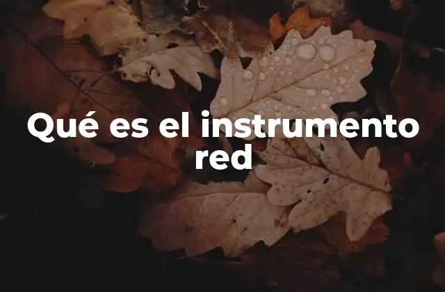 Qué es el Instrumento Red