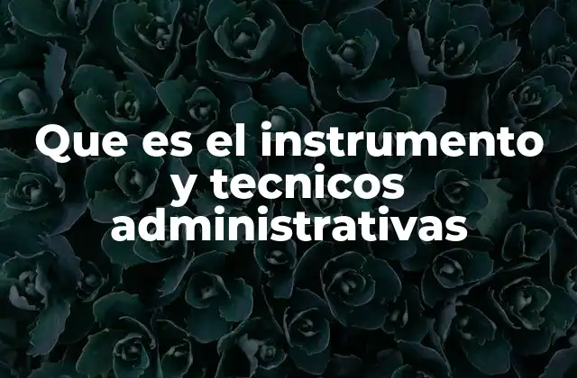 Que es el Instrumento y Tecnicos Administrativas