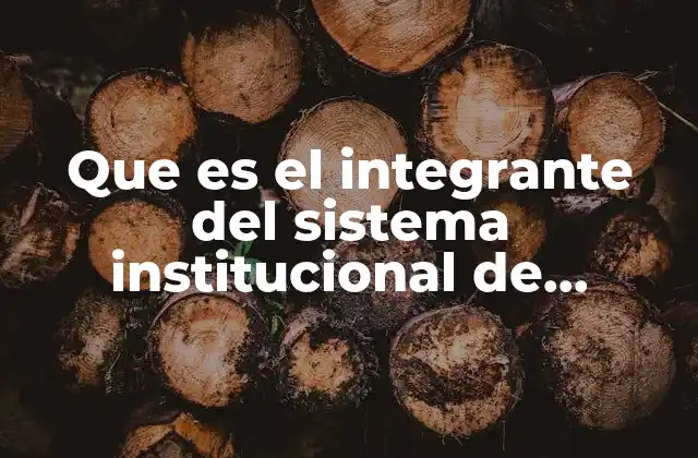 Que es el Integrante Del Sistema Institucional de Archivos