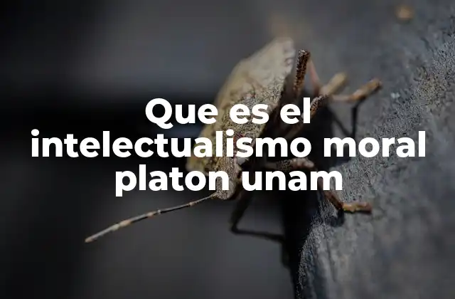 Que es el Intelectualismo Moral Platon Unam 2 La base filosófica del intelectualismo moral en Platón