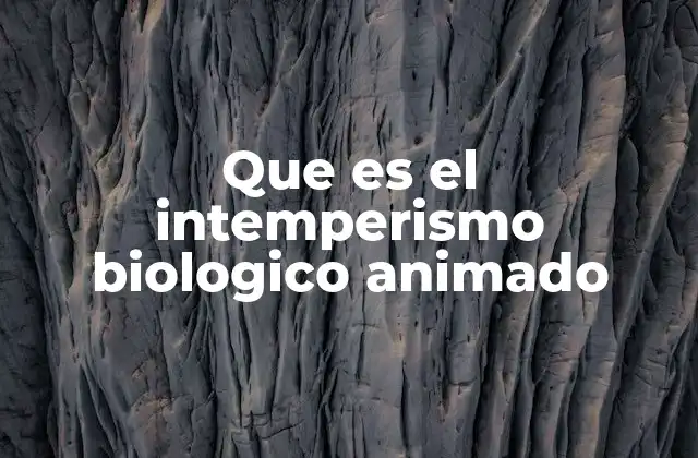 Que es el Intemperismo Biologico Animado 2 La influencia de los animales en la formación del suelo
