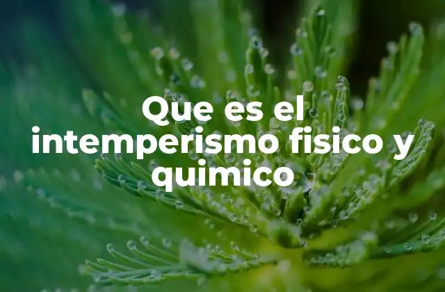Cómo ocurre el desgaste de las rocas en la superficie terrestre