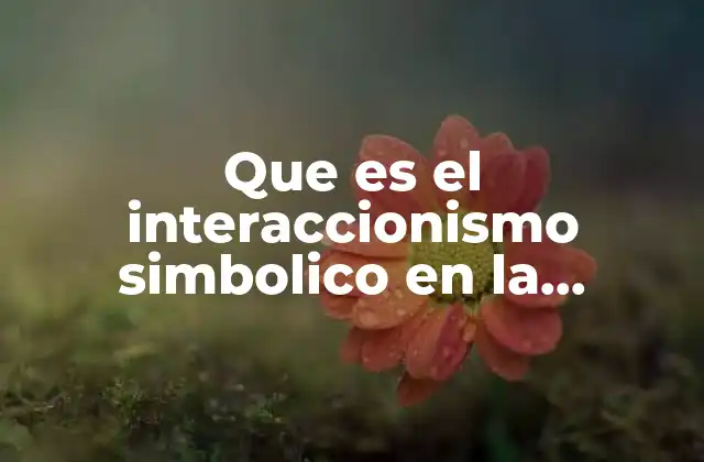 Que es el Interaccionismo Simbolico en la Investigacion Cualitativa