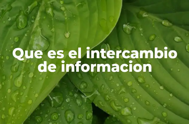 Que es el Intercambio de Informacion