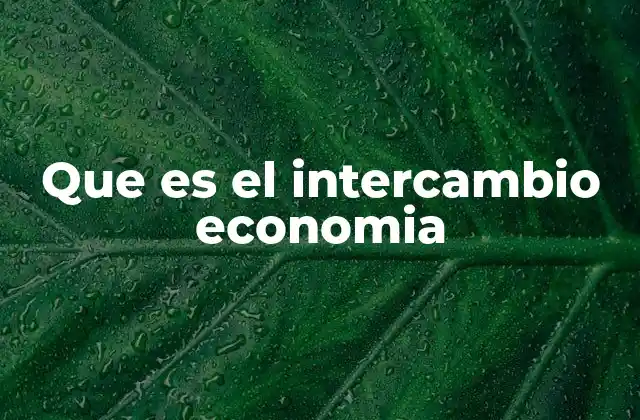 Que es el Intercambio Economia