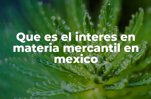 Que es el Interes en Materia Mercantil en Mexico 2 La importancia del interés en procesos mercantiles
