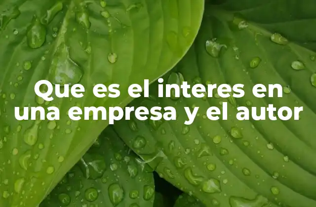 Que es el Interes en una Empresa y el Autor