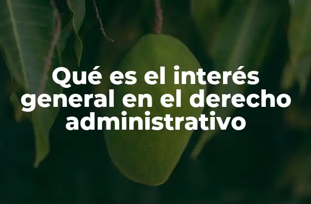 Qué es el Interés General en el Derecho Administrativo
