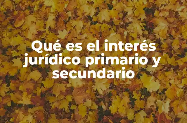 Qué es el Interés Jurídico Primario y Secundario 2 El papel de los intereses jurídicos en la legitimación procesal