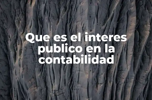 Que es el Interes Publico en la Contabilidad