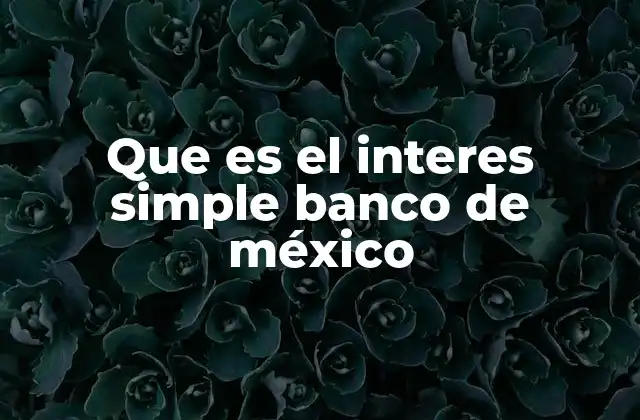 Que es el Interes Simple Banco de México