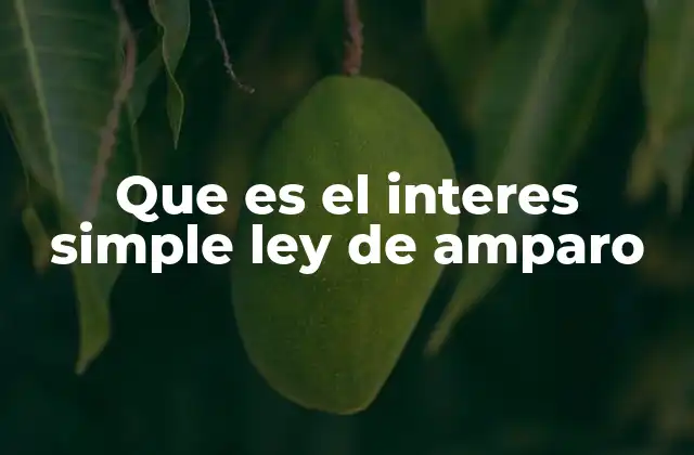 Que es el Interes Simple Ley de Amparo