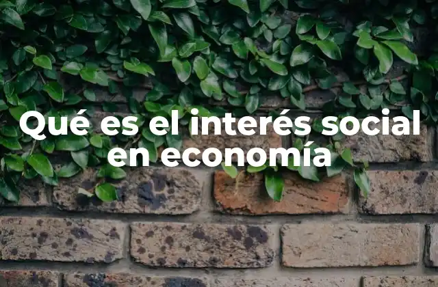 Qué es el Interés Social en Economía