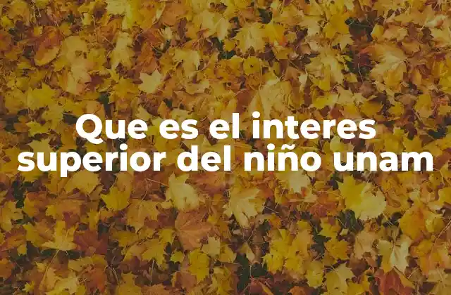 Que es el Interes Superior Del Niño Unam