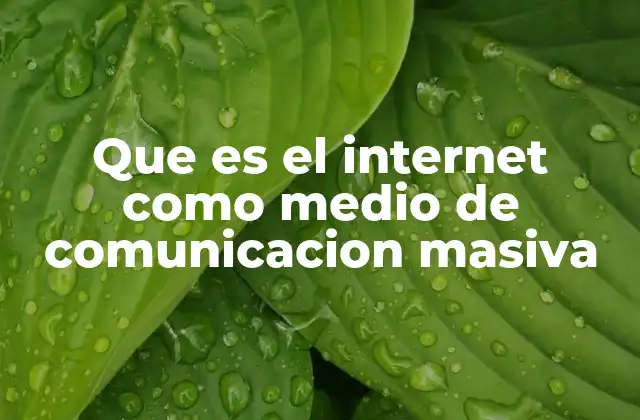 Que es el Internet como Medio de Comunicacion Masiva